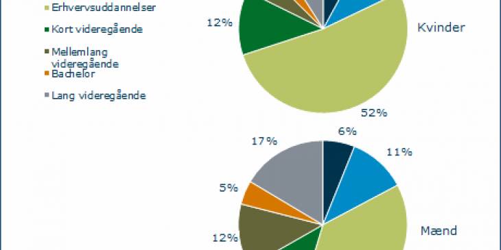 Finanssektorens uddannelsesniveau.png